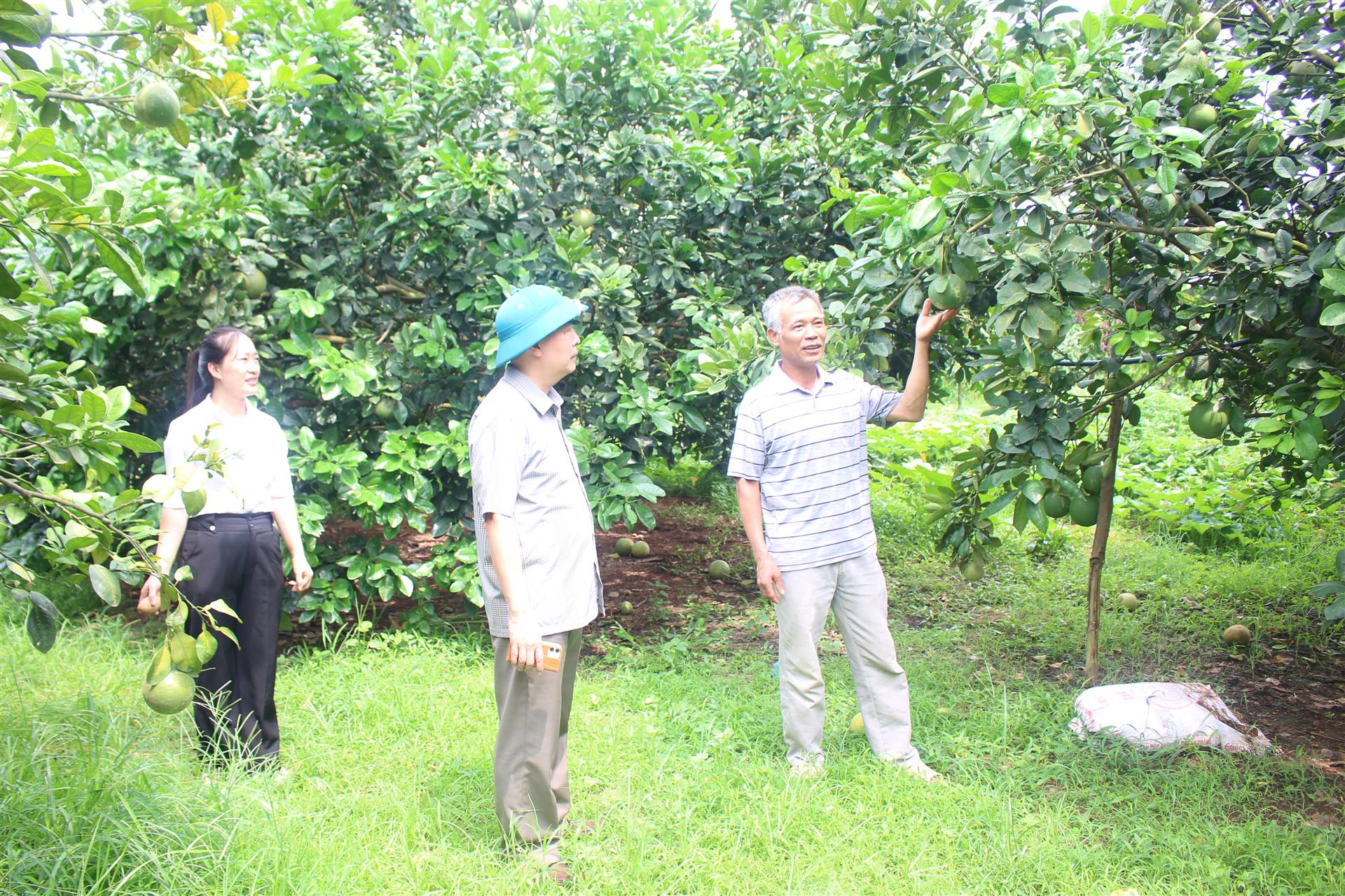 ĐỒNG CHÍ NGUYỄN TRỌNG TÀI - BÍ THƯ ĐẢNG ỦY XÃ TÂN KHÁNH THĂM VÀ NẮM BẮT TÌNH HÌNH HOẠT ĐỘNG TẠI CÁC MÔ HÌNH KINH TẾ TIÊU BIỂU TRÊN ĐỊA BÀN
