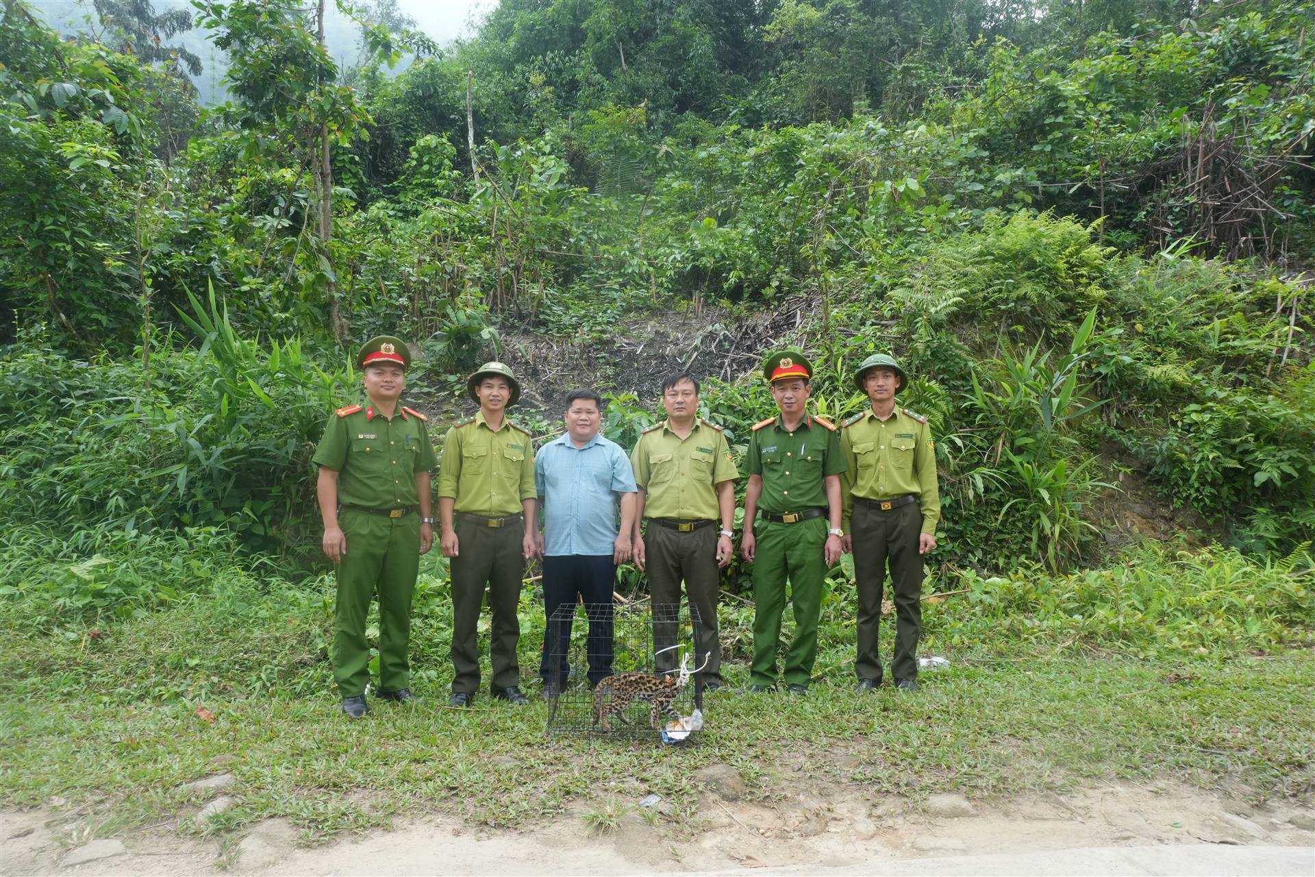 🌿 PHÚ THỊNH PHỐI HỢP BÀN GIAO, THẢ CÁ THỂ MÈO RỪNG QUÝ HIẾM TẠI KHU VỰC RỪNG THUỘC VƯỜN QUỐC GIA TAM ĐẢO 🐾🌳