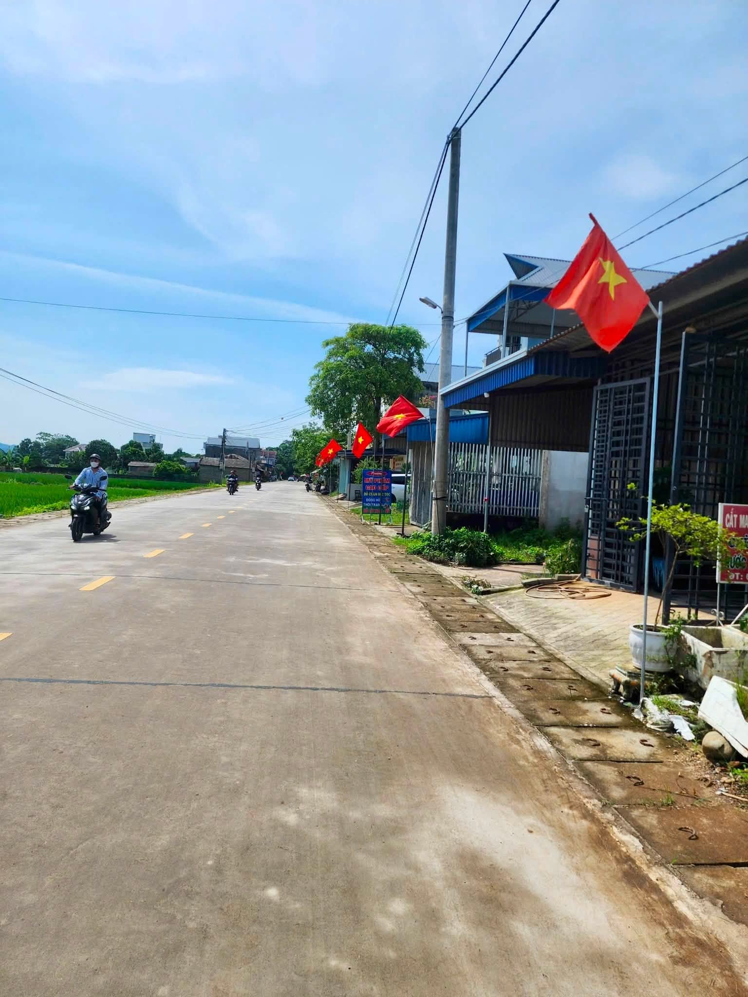 Anh-tin-bai