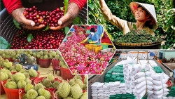 QUY ĐỊNH MỚI VỀ ĐÁNH GIÁ, PHÂN HẠNG SẢN PHẨM OCOP