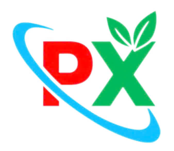 Tuyên truyền, hưởng ứng tham gia Cuộc thi Độc tấu và Hòa tấu nhạc cụ dân tộc toàn quốc - 2026