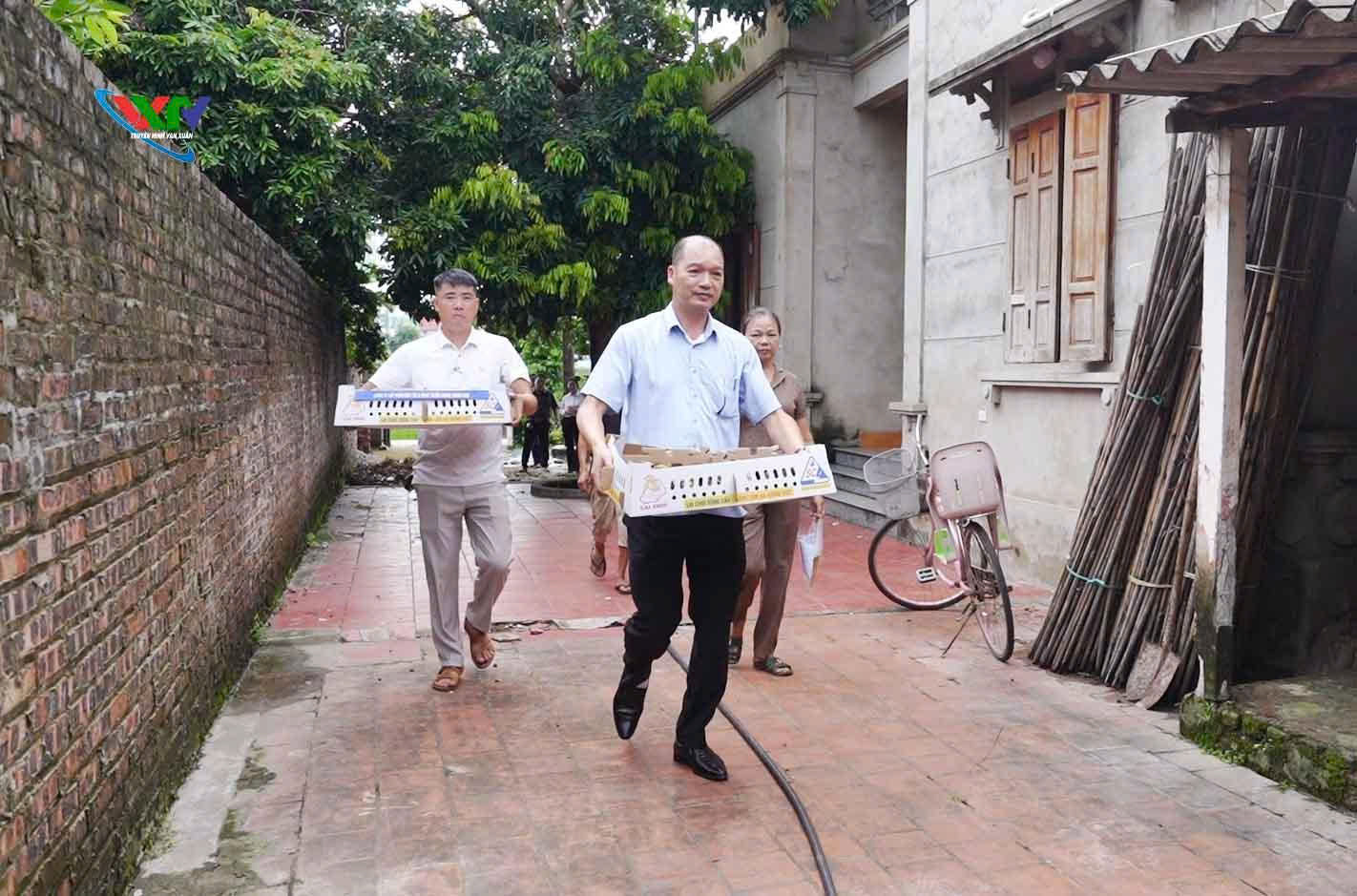 Anh-tin-bai