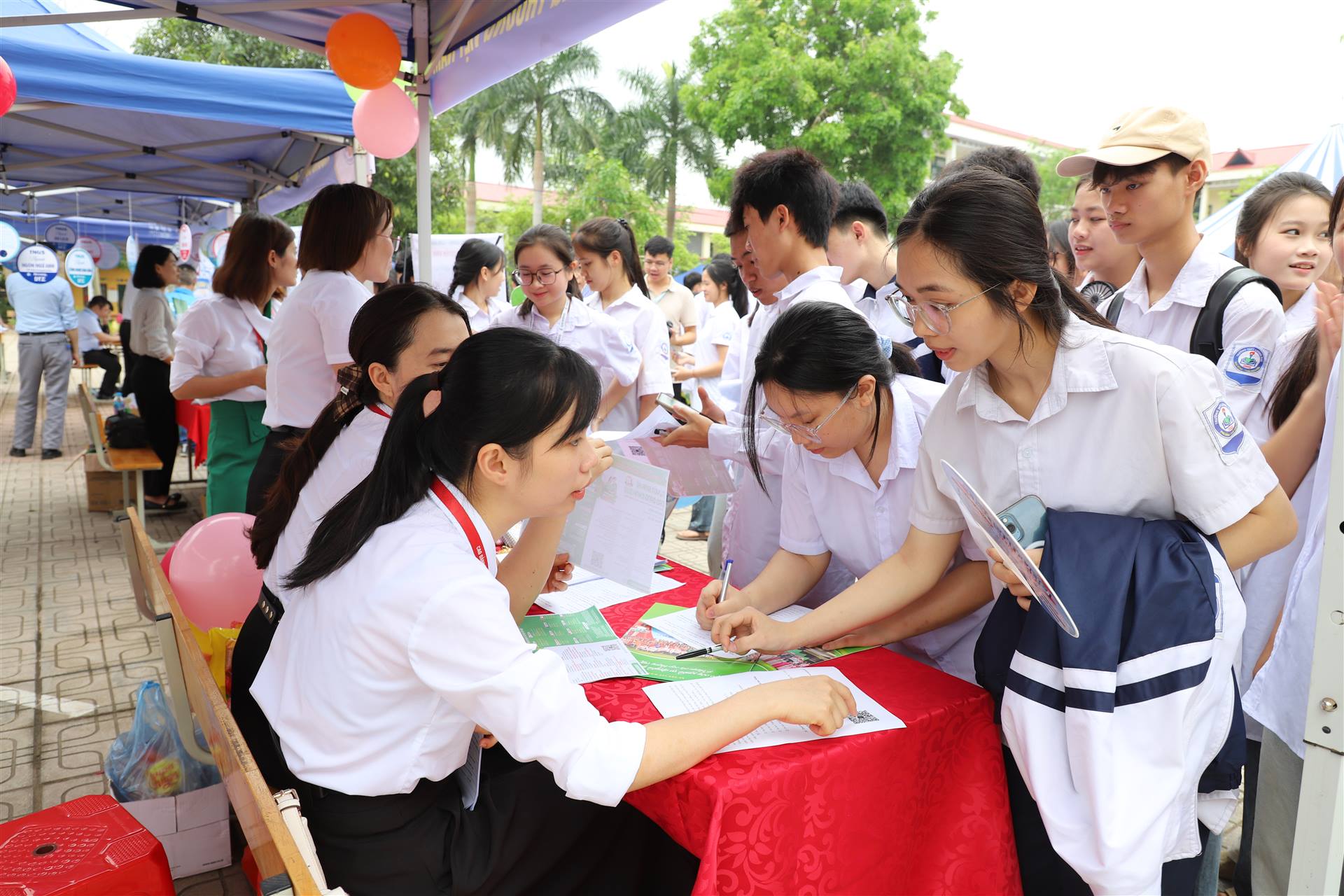 Anh-tin-bai