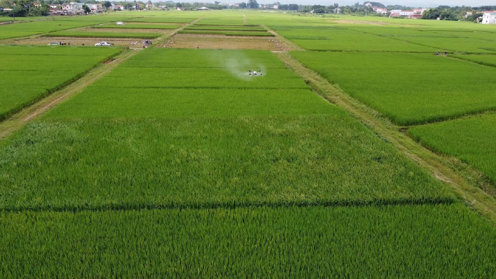 Deploying many solutions to apply digital technology in agriculture