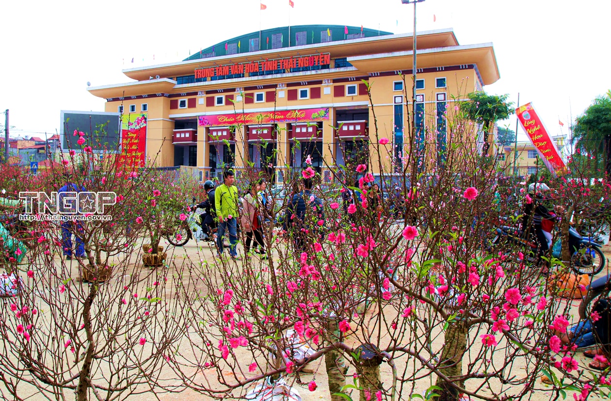 Phan Dinh Phung Ward to organize flower and Tet markets from February 4 to 16