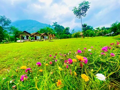 La Bang 팜스테이 – 차별성과 창의성의 상징