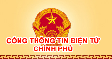Cổng thông tin điện tử chính phủ