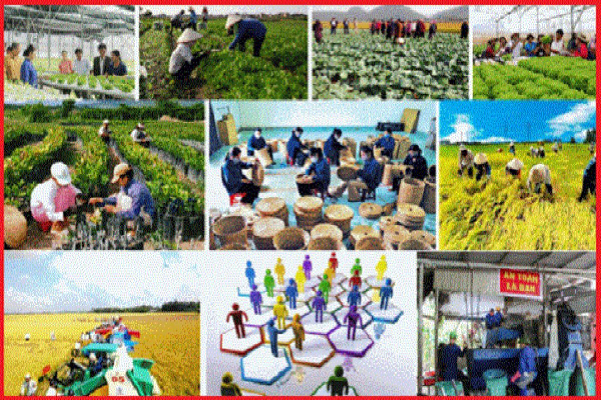 Hướng dẫn trình tự thành lập HTX, Liên hiệp HTX