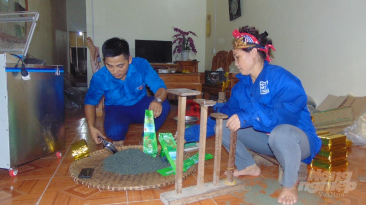 Chè tươi sau khi hái phải chế biến, đóng gói ngay mới giữ được hương vị thơm ngon. 