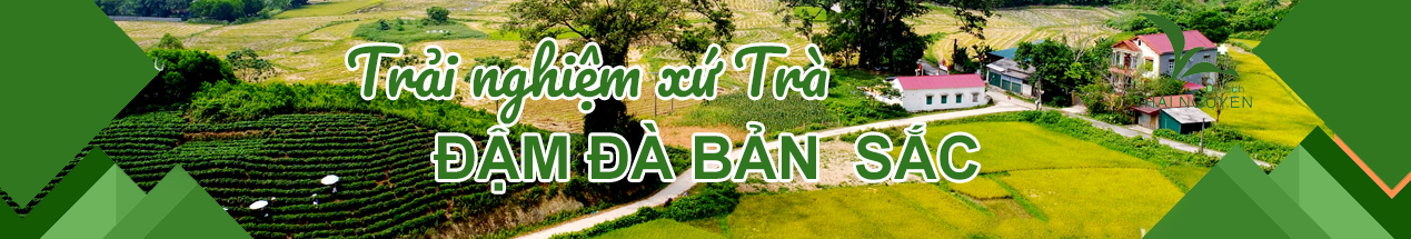 image advertisement
