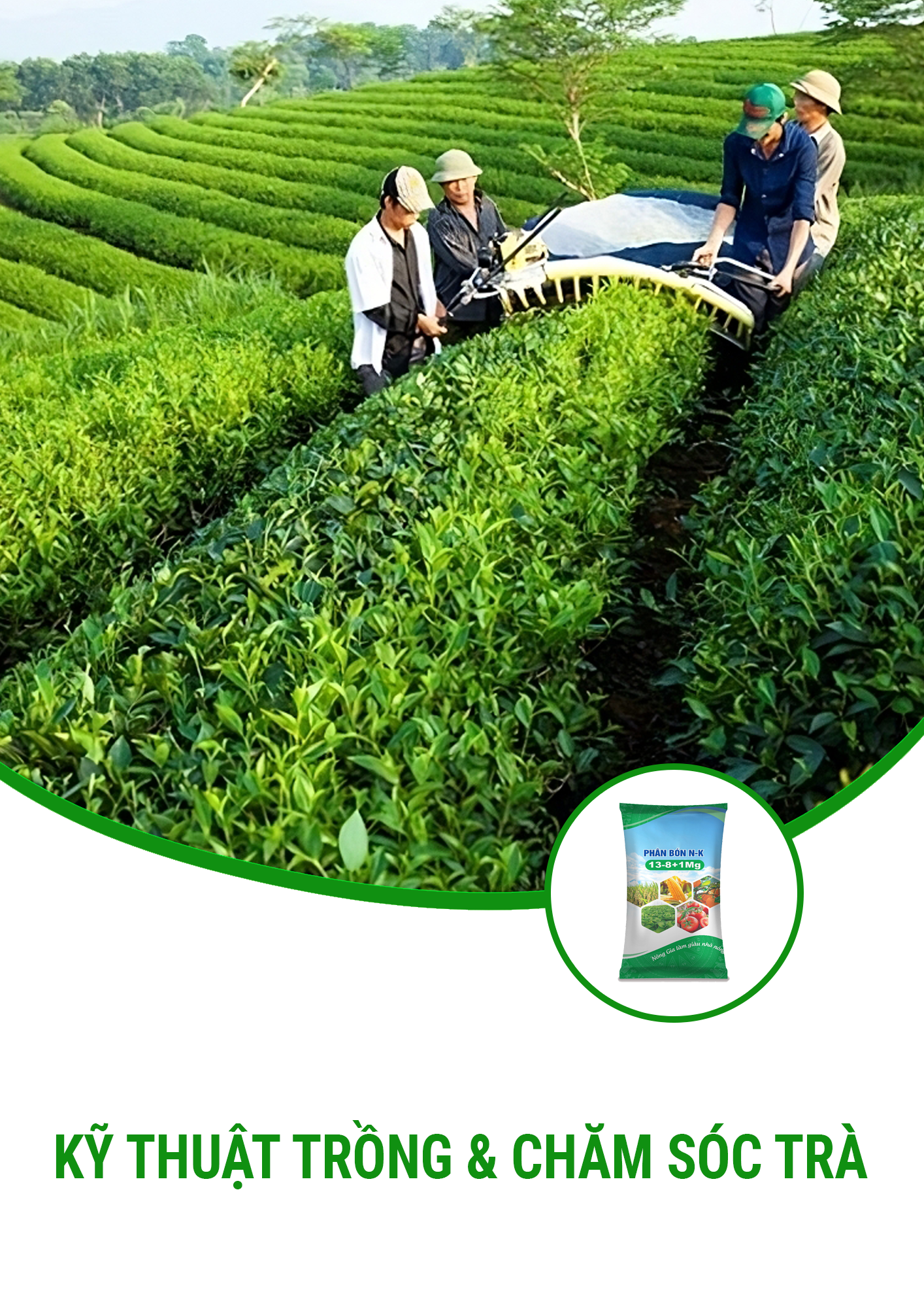 image advertisement