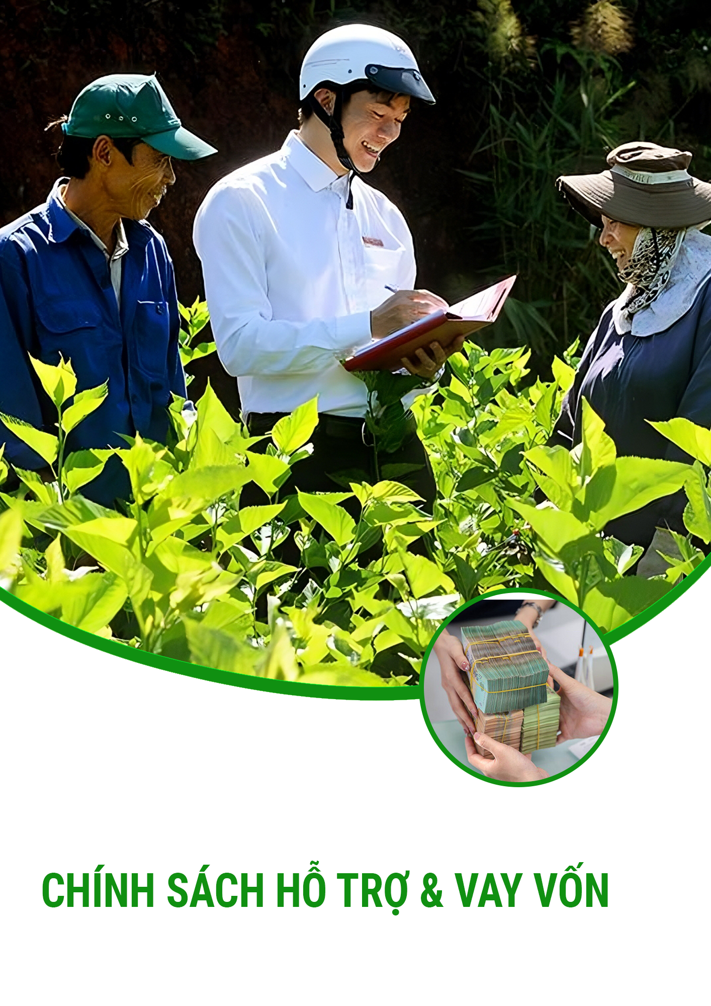 image advertisement