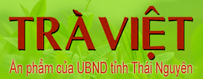 image advertisement