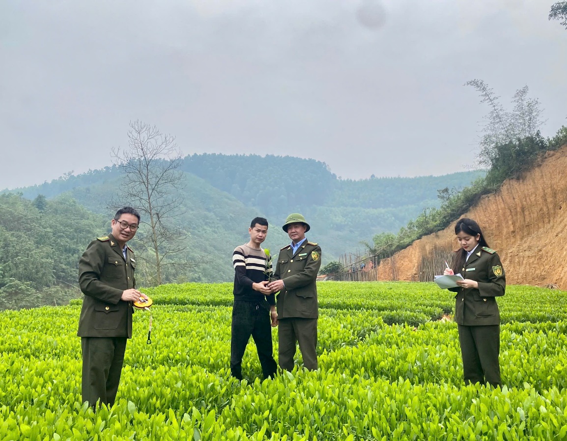Chi cục Kiểm lâm tỉnh Thái Nguyên tăng cường công tác quản lý giống cây trồng lâm nghiệp.