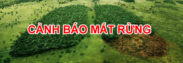 image advertisement