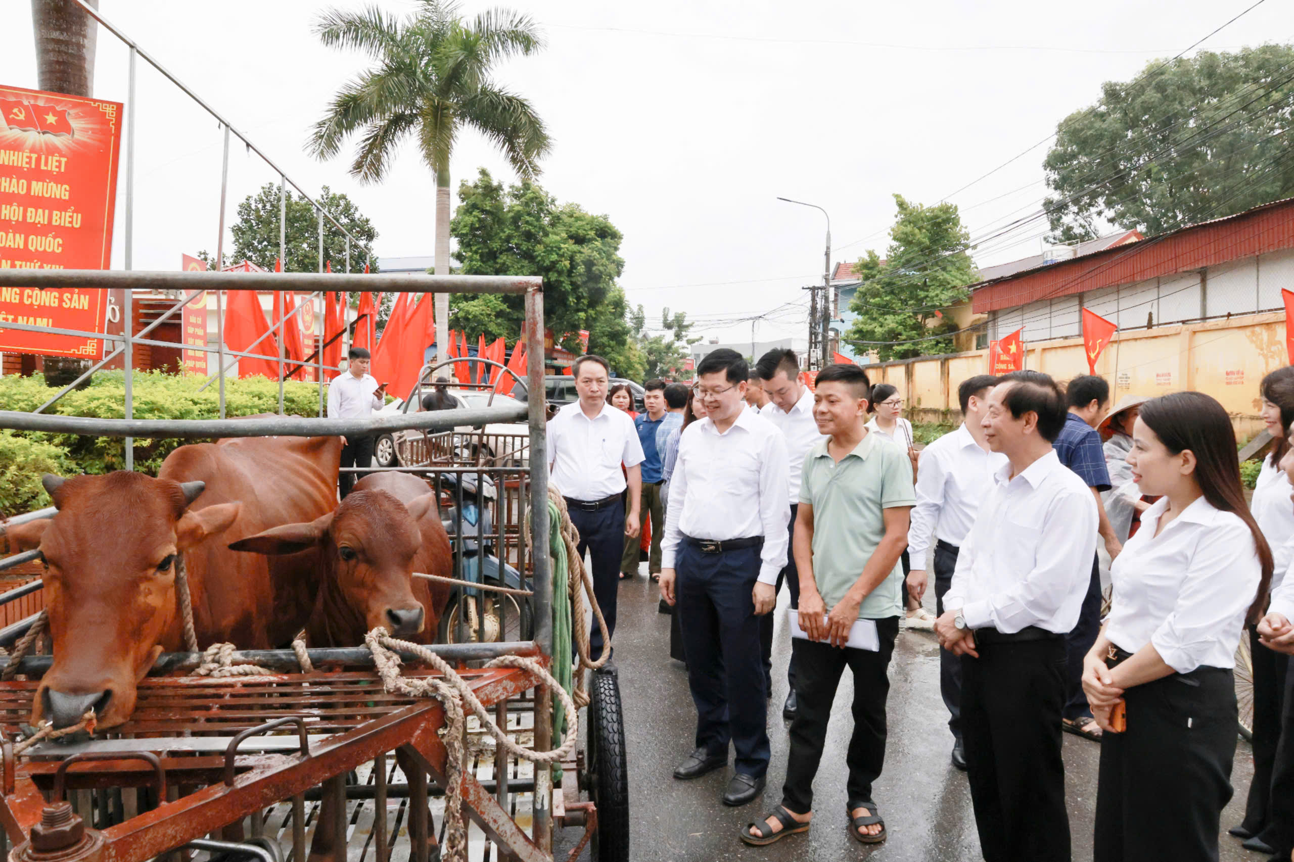 Tân Khánh: ra mắt mô hình tự quản "An sinh cộng đồng" 