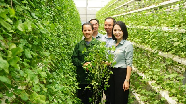 Dấu ấn nhiệm kỳ VIII Hội Nông dân Việt Nam: khẳng định vai trò của nông dân trong kỷ nguyên mới