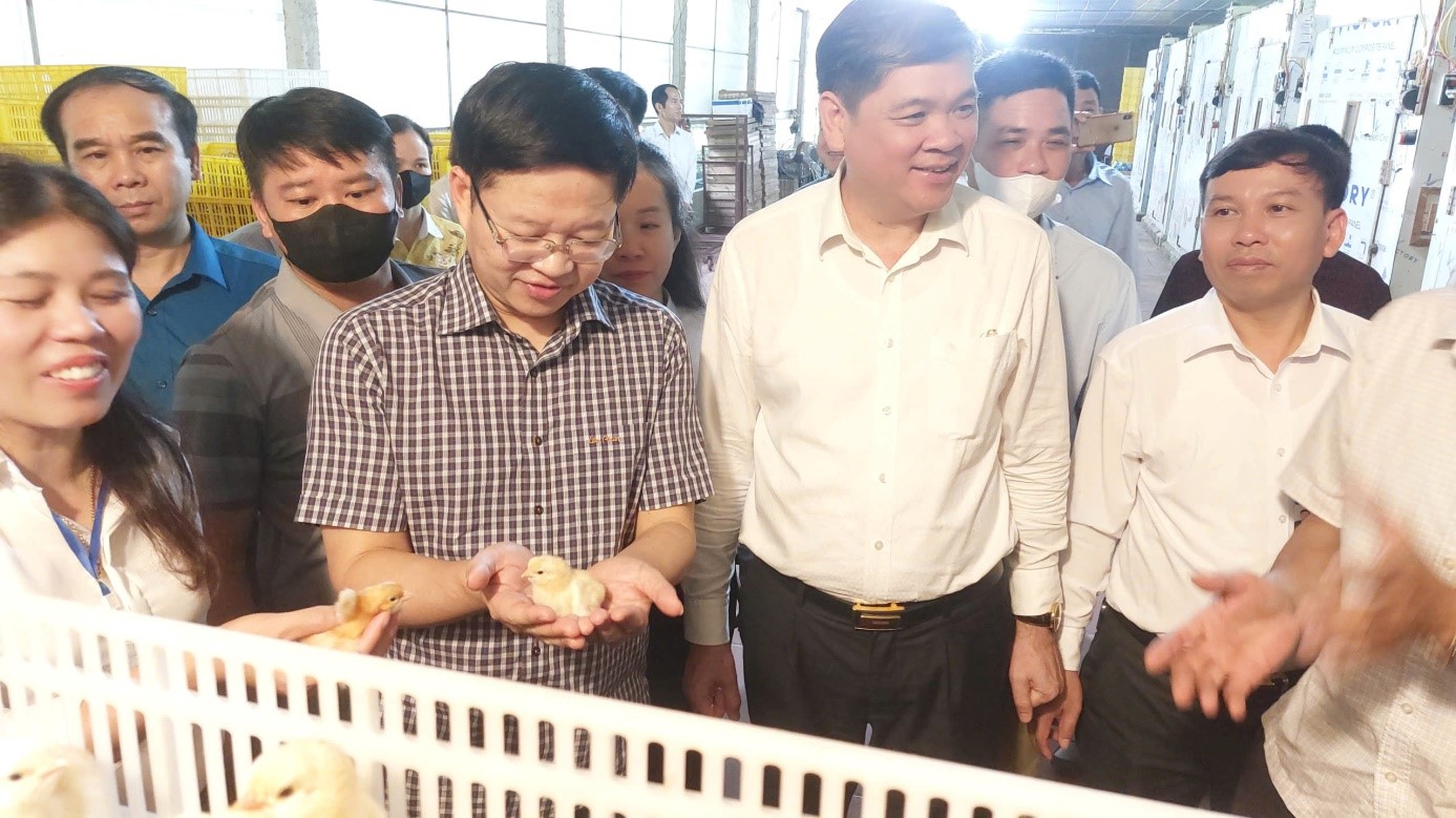 Đồng chí Đinh Quang Tuyên, Phó Bí thư Tỉnh ủy, Chủ tịch Ủy ban MTTQ tỉnh thăm và làm việc với các HTX điển hình tại xã Tân Thành, Tân Khánh