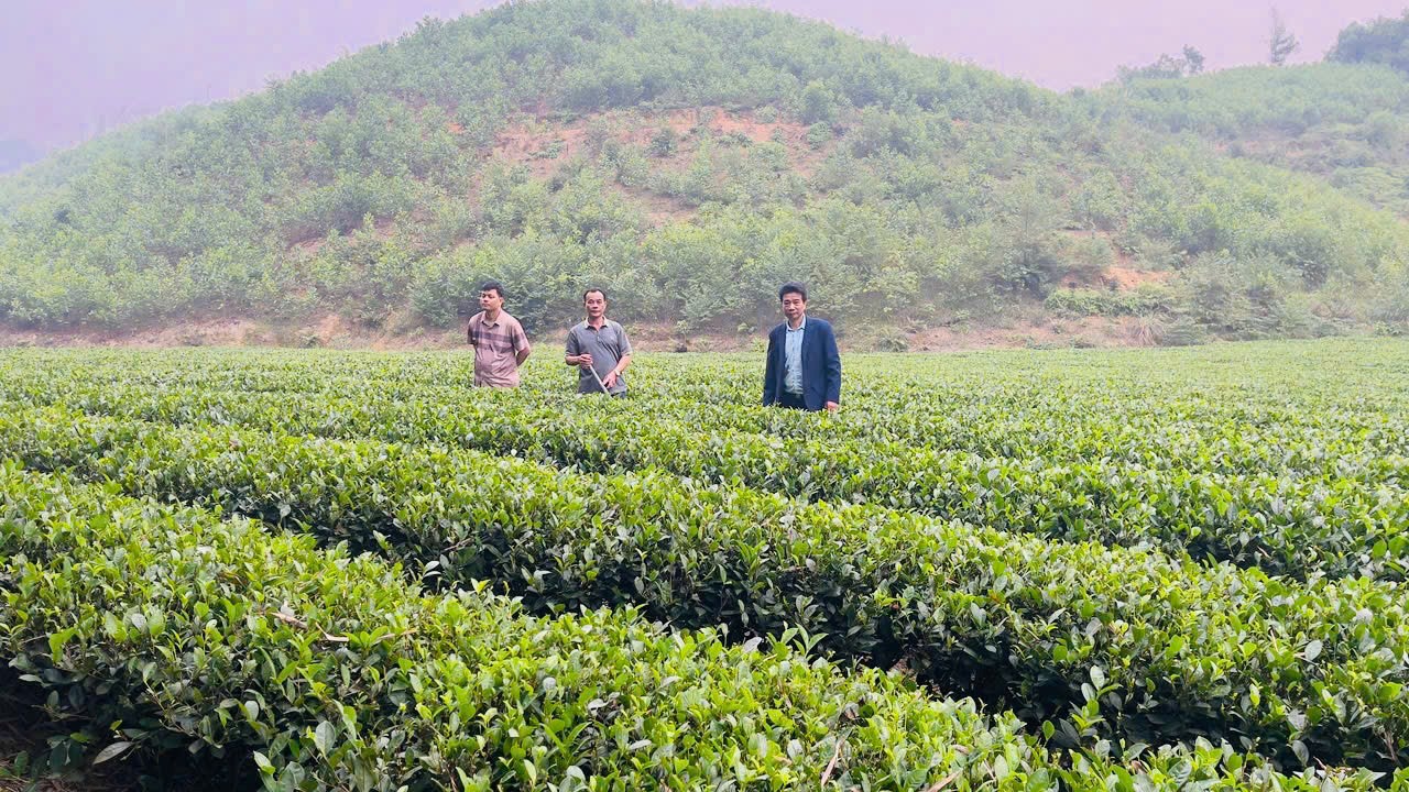 Đẩy mạnh phong trào "Nông dân thi đua sản xuất, kinh doanh giỏi, đoàn kết giúp nhau làm giàu và giảm nghèo bền vững"