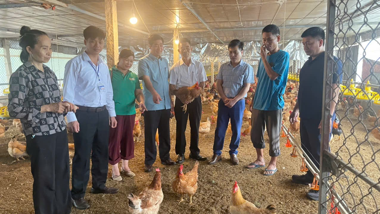 Hội Nông dân xã Yên Phong, tỉnh Thái Nguyên tổ chức cho hội viên nông dân thăm quan, học tập mô hình nông – lâm điển hình tại một số xã phía Nam, tỉnh Thái Nguyên.