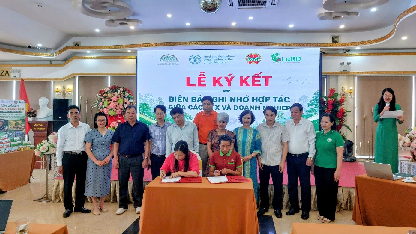 Kết nối cung - cầu, mở rộng đầu ra cho nông lâm sản dưới tán rừng  Thúc đẩy liên kết sản xuất, tiêu thụ sản phẩm, nâng cao giá trị kinh tế cho các hợp tác xã, tổ hợp tác khu vực miền núi phía Bắc