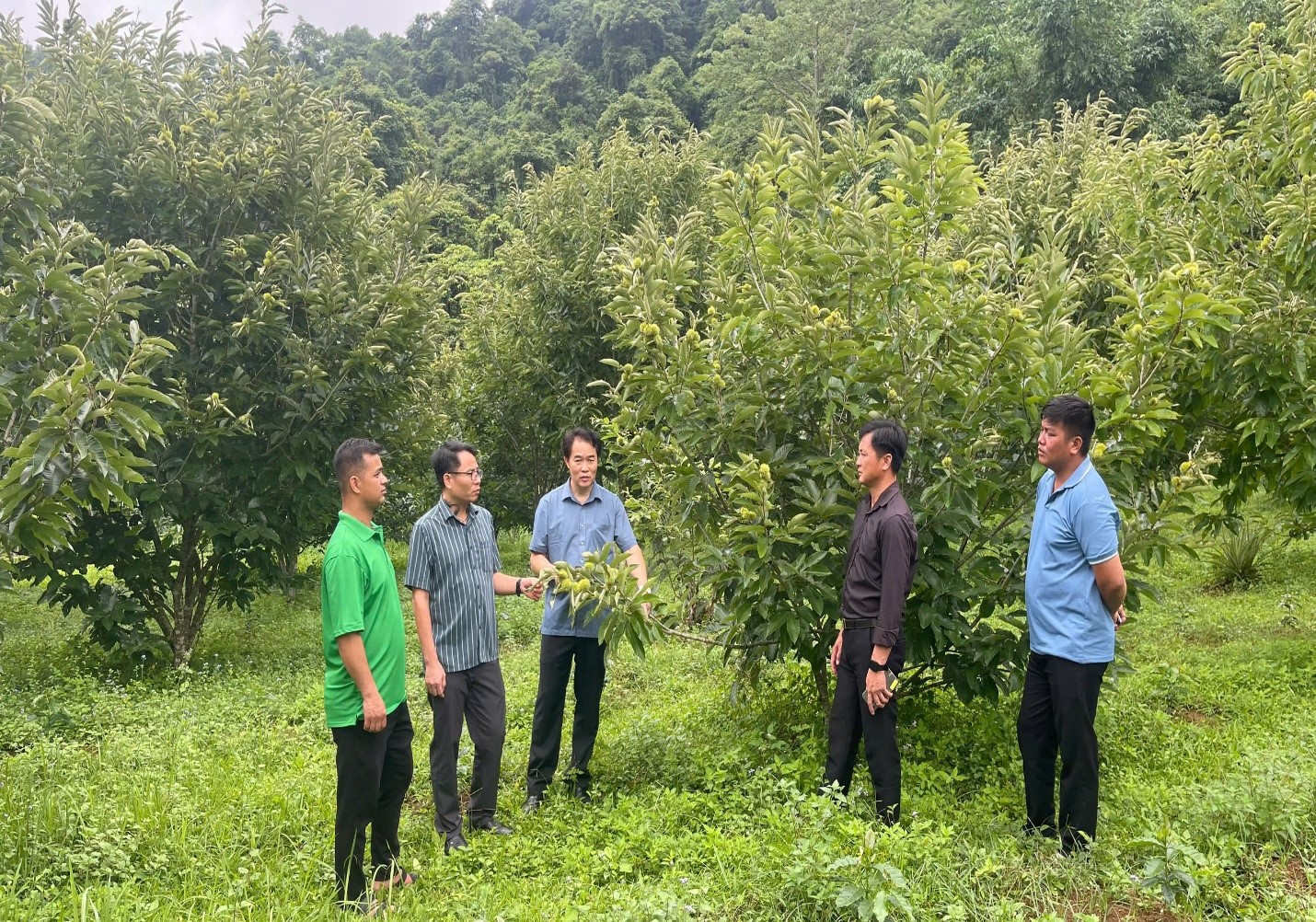 Hội Nông dân tỉnh kiểm tra công tác Hội và phong trào nông dân tại cơ sở Hội