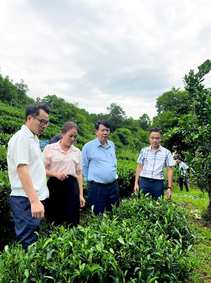 KHẢO SÁT MÔ HÌNH HỖ TRỢ ỨNG DỤNG CHUYỂN ĐỔI SỐ TRONG SẢN XUẤT, KINH DOANH TẠI HỢP TÁC XÃ TUYẾT HƯƠNG