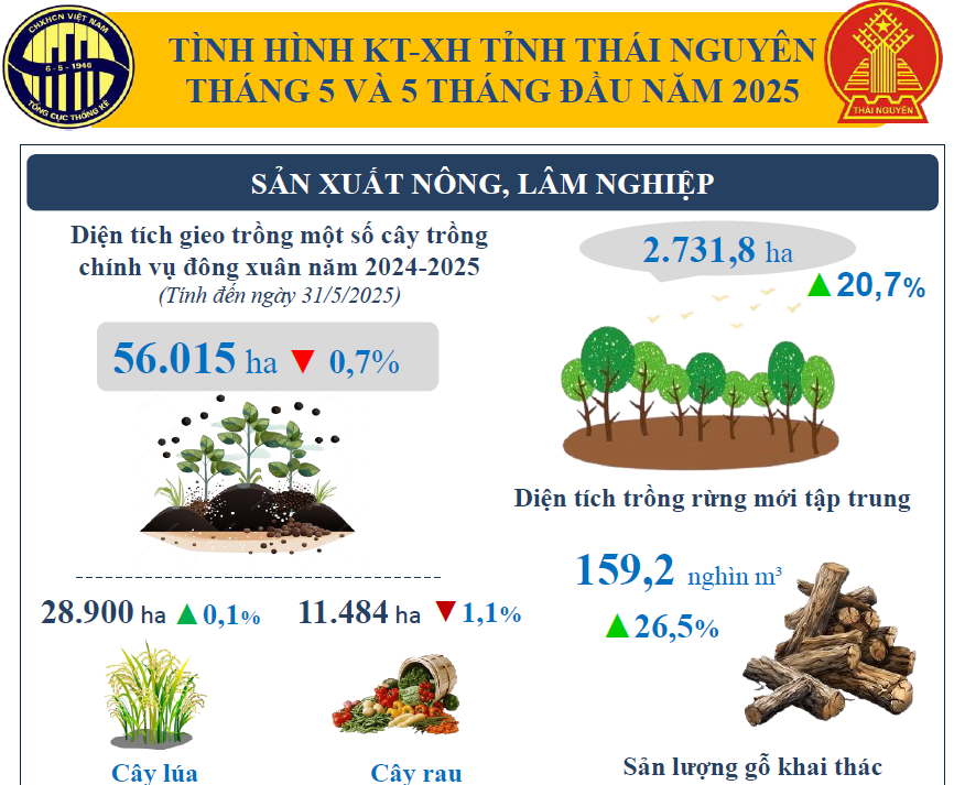 Báo cáo tình hình kinh tế - xã hội tháng 5 năm 2025 trên địa bàn tỉnh Thái Nguyên