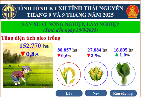 Báo cáo Tình hình kinh tế - xã hội tháng 9 và 9 tháng năm 2025 trên địa bàn tỉnh Thái Nguyên