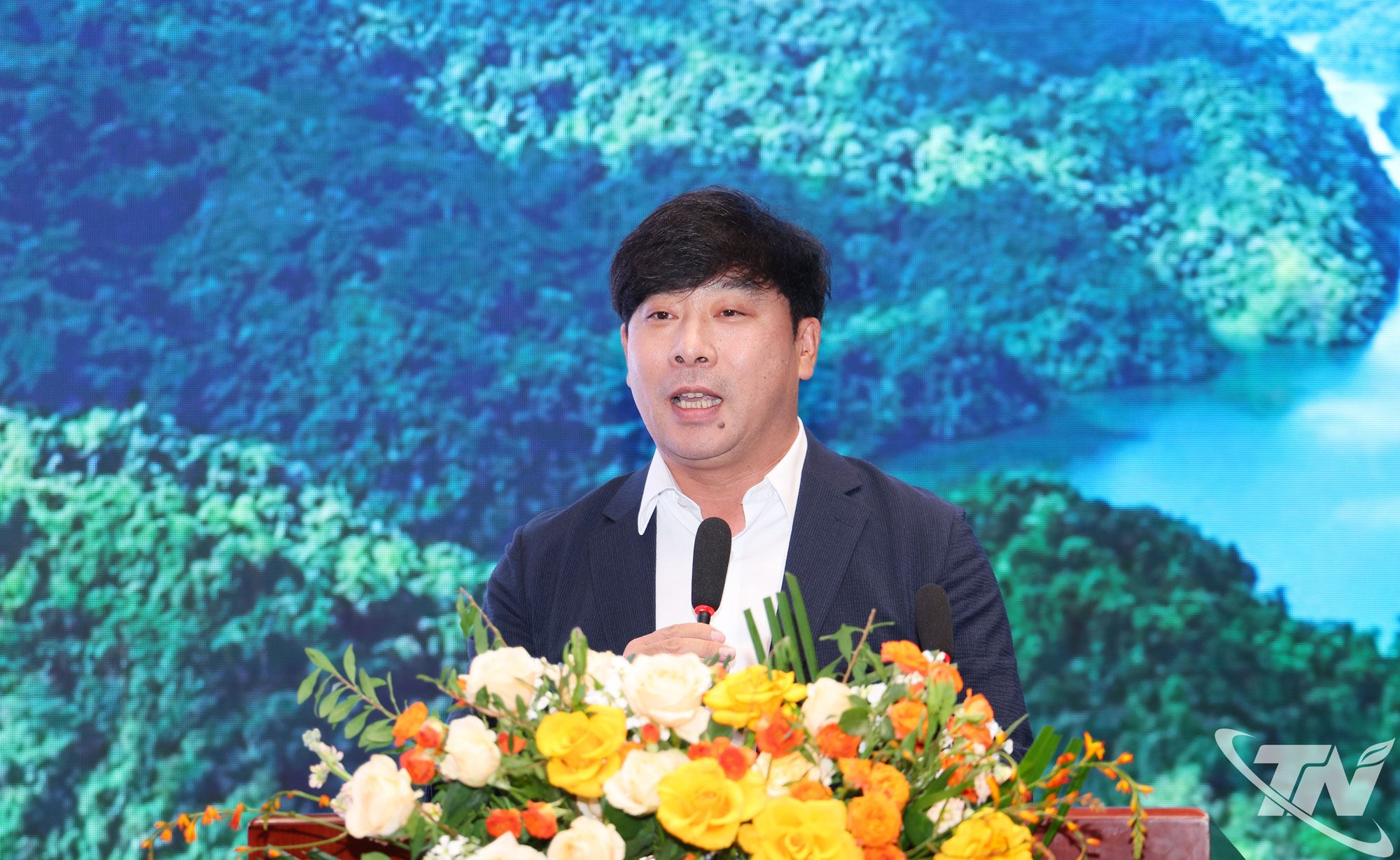Anh-tin-bai