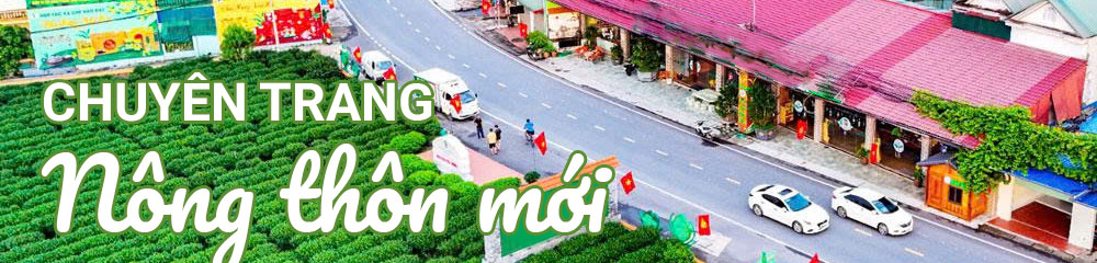 image advertisement