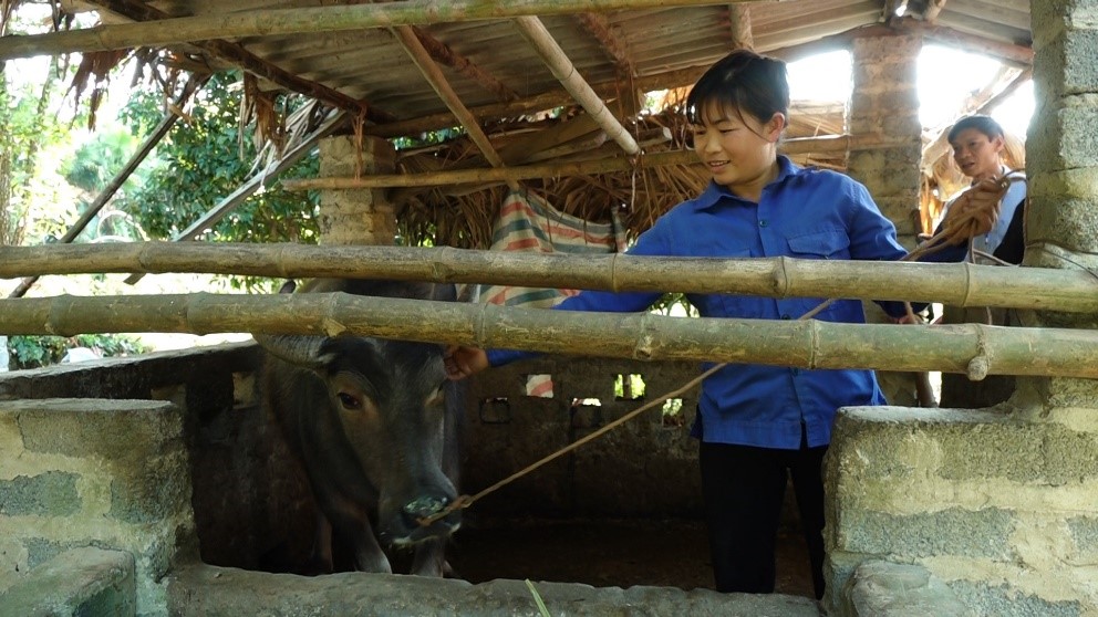 Hỗ trợ con giống giúp người dân giảm nghèo bền vững