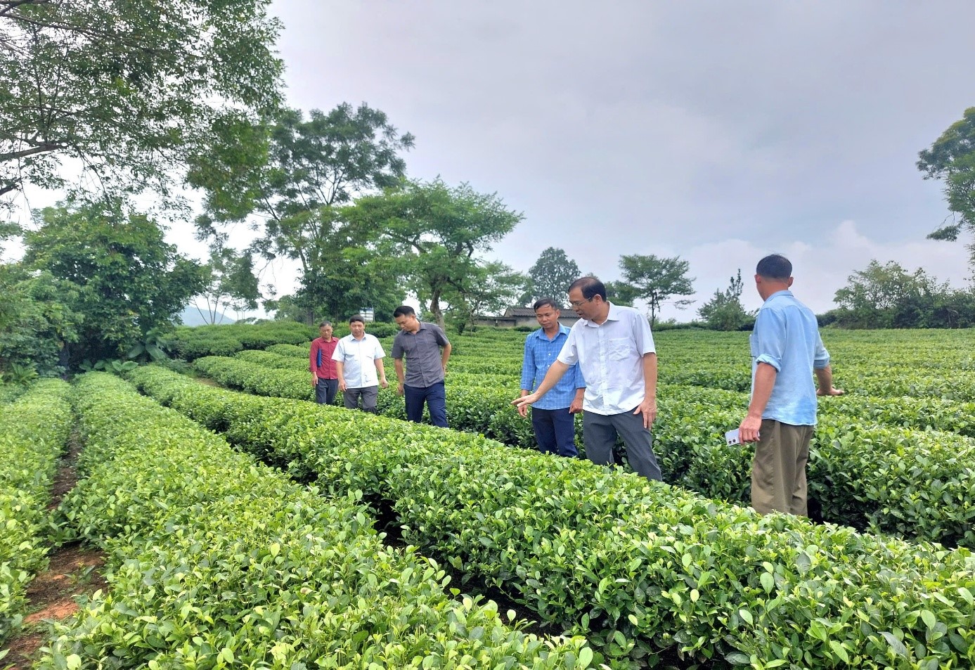 Rà soát, hướng dẫn lập hồ sơ đề nghị công nhận làng nghề trên địa bàn tỉnh Thái Nguyên năm 2025