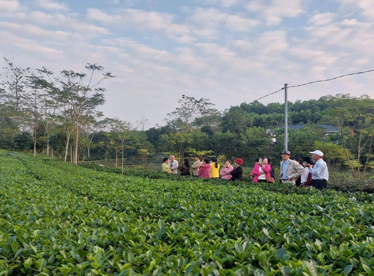 Lớp nâng cao kỹ năng nghề kỹ thuật sản xuất, chế biến sản phẩm cho người lao động trong làng nghề, làng nghề truyền thống năm 2025.