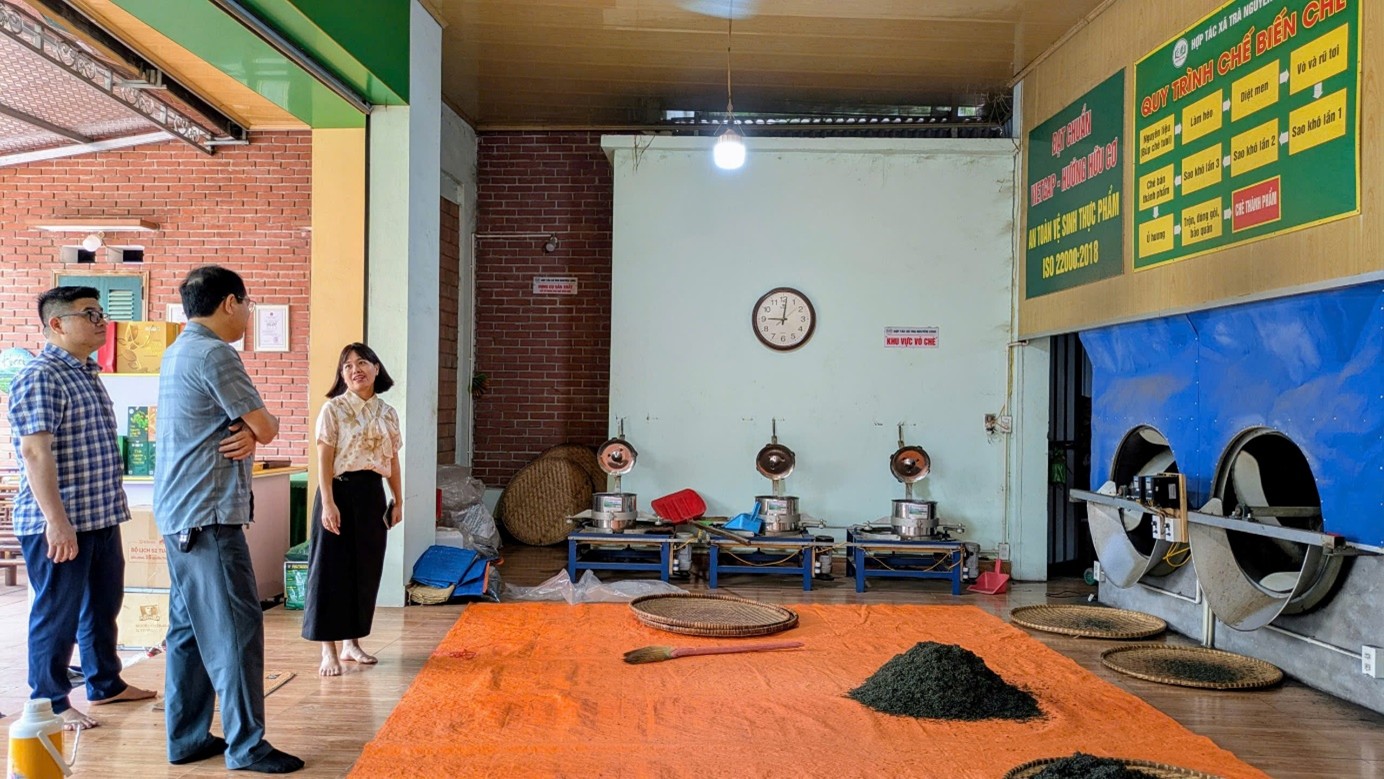 ĐẨY MẠNH PHÁT TRIỂN KINH TẾ TẬP THỂ, NÂNG TẦM GIÁ TRỊ SẢN PHẨM CHÈ THÁI NGUYÊN