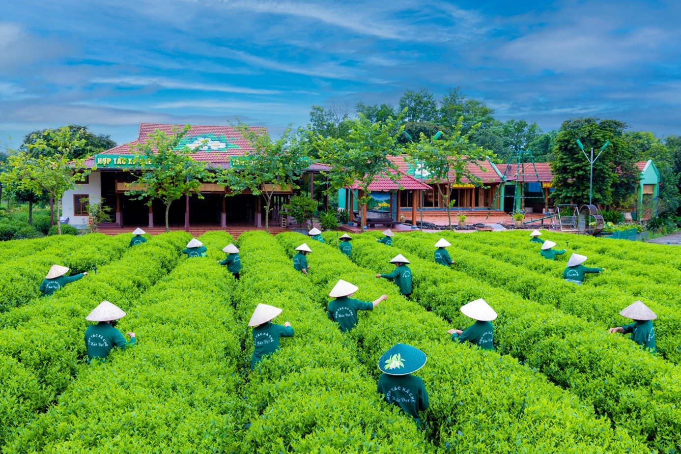 Anh-tin-bai