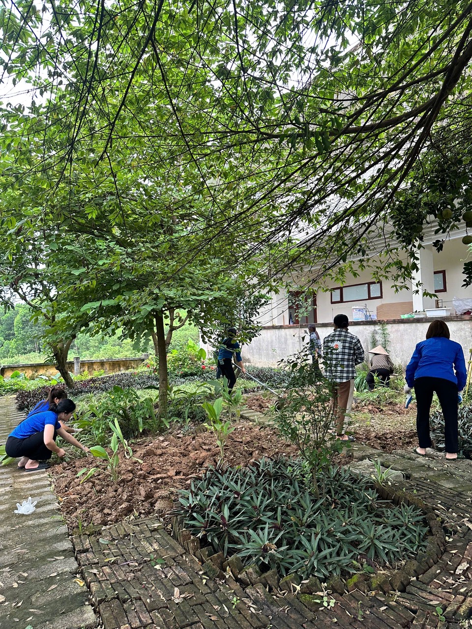 RA QUÂN CHỦ NHẬT XANH - PHƯỜNG LINH SƠN