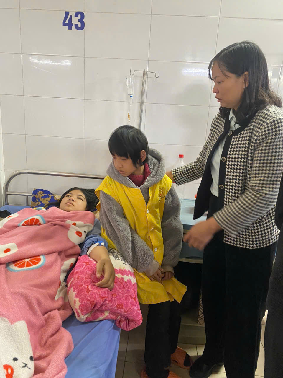 CLB TƯ VẤN, TRỢ GIÚP TRẺ EM CẤP TỈNH ĐỒNG HÀNH, BẢO VỆ TRẺ EM BỊ BẠO HÀNH