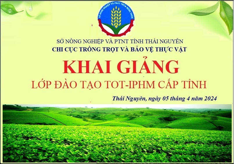 Khai giảng lớp đào tạo TOT-IPHM cấp tỉnh