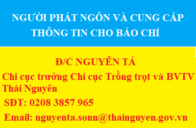 image advertisement