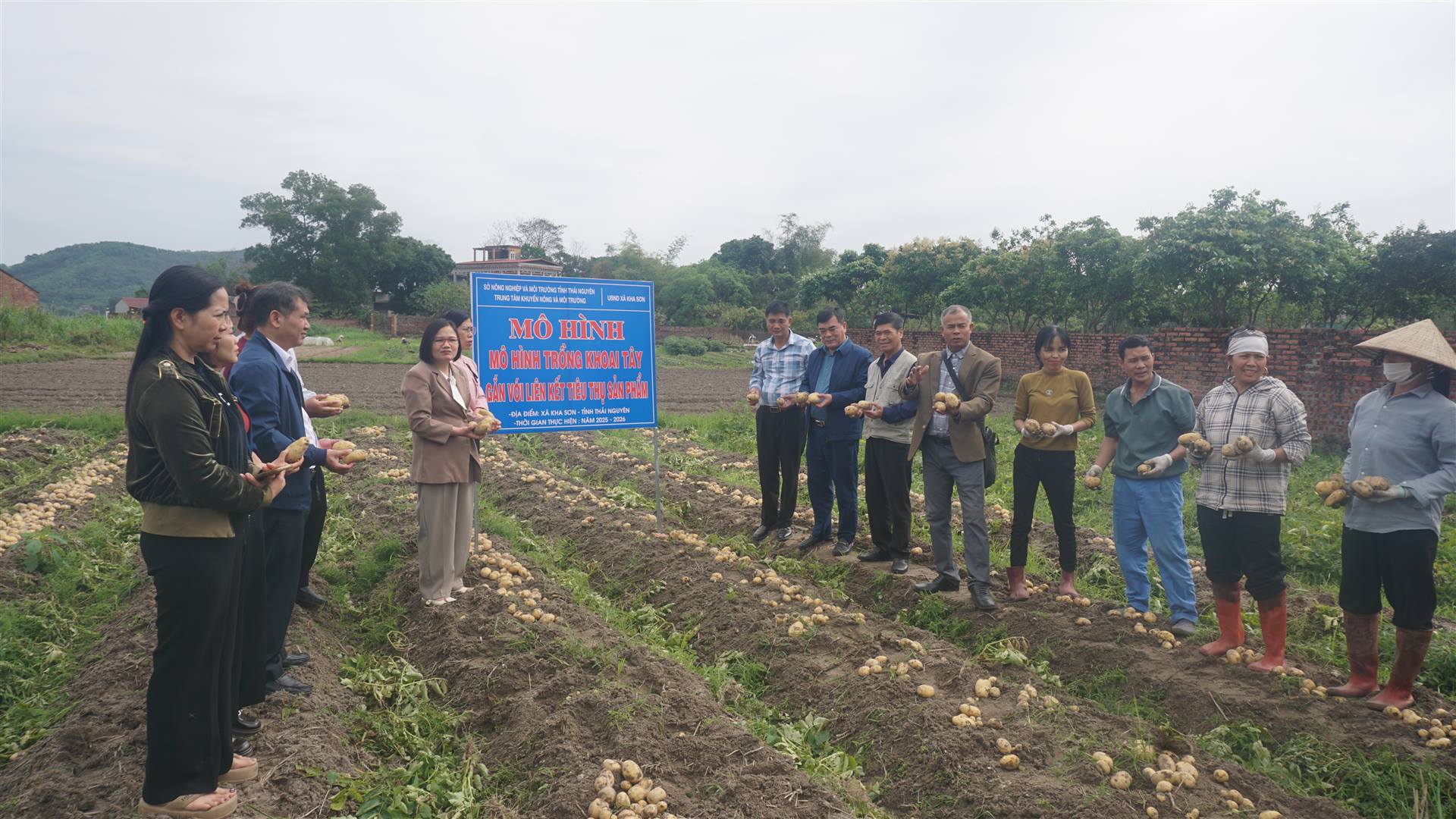 Hội thảo đánh giá kết quả mô hình khoai tây gắn với liên kết tiêu thụ sản phẩm tại xã Kha Sơn