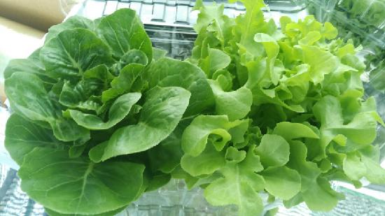 Thông qua Quy định cơ chế hỗ trợ đầu tư phát triển kết cấu hạ tầng  xây dựng nông thôn mới