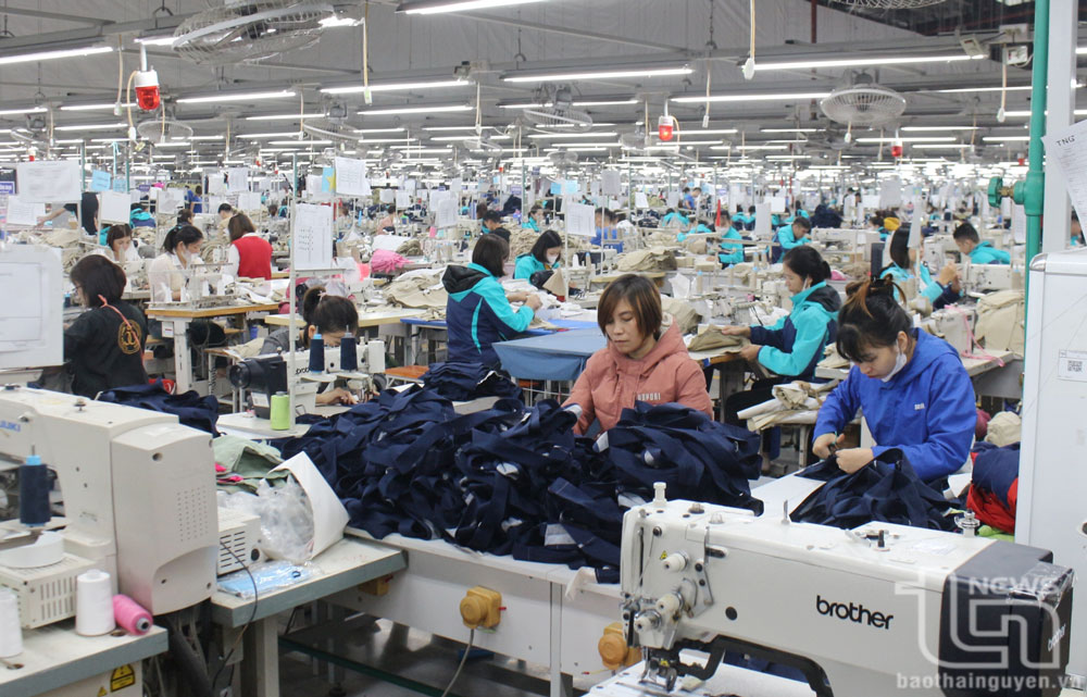 Công tác đăng ký kinh doanh và thu hút đầu tư tháng 02/2026