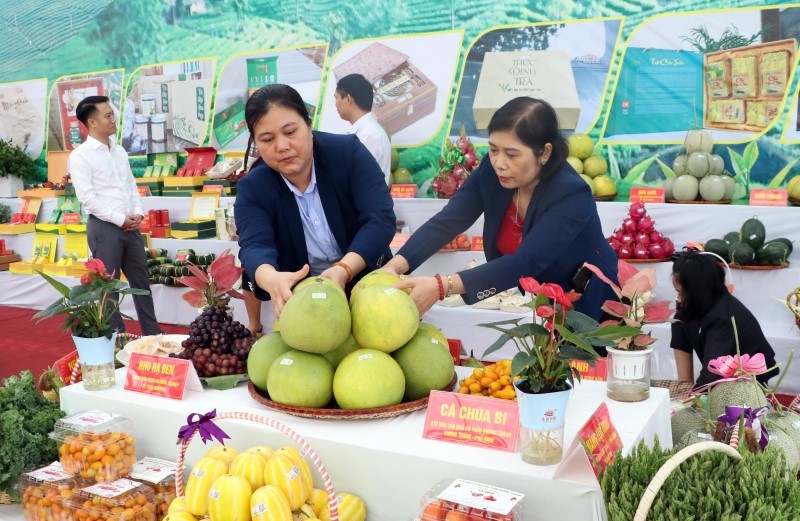 Tổ chức Chương trình "Festival Nông sản, OCOP, làng nghề gắn kết du lịch - Thái Nguyên 2026"