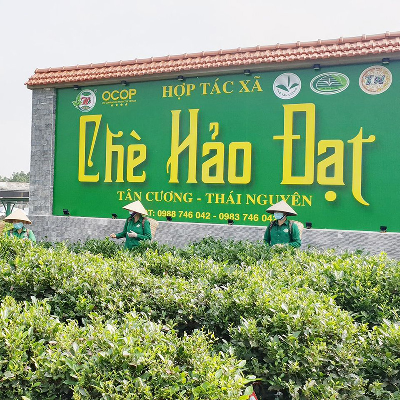 Truy vết nguồn gốc nông sản từ ngày 01/07/2026
