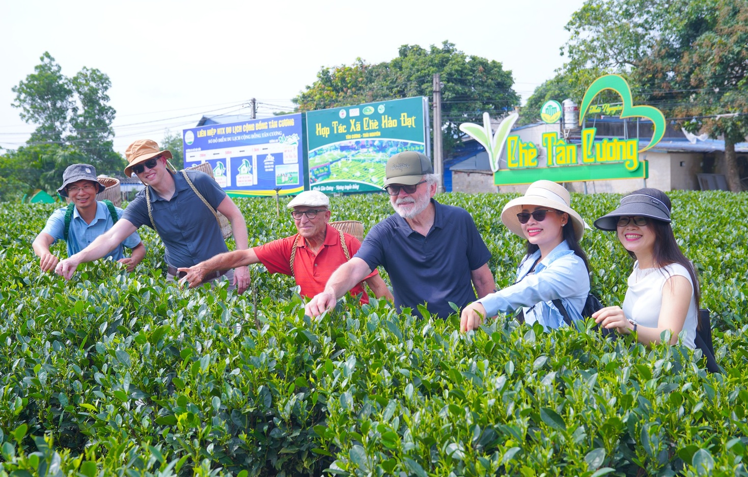 茶乡旅游拓展国际客源市场