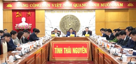 Triển khai Kế hoạch về đột phá phát triển khoa học, công nghệ, đổi mới sáng tạo và chuyển đổi số -0