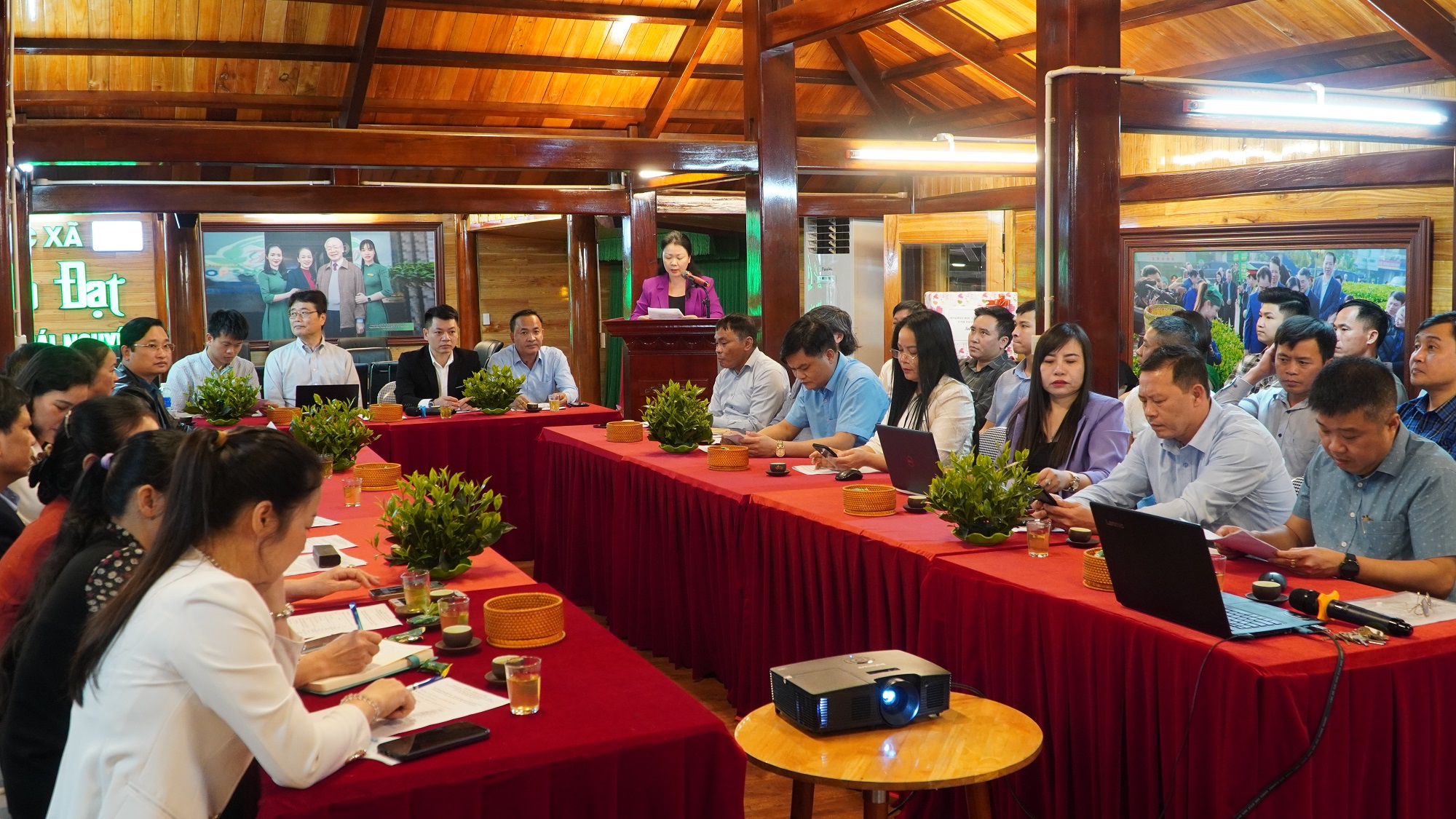 Giới thiệu công nghệ SOFIX trong cải tạo đất trồng chè