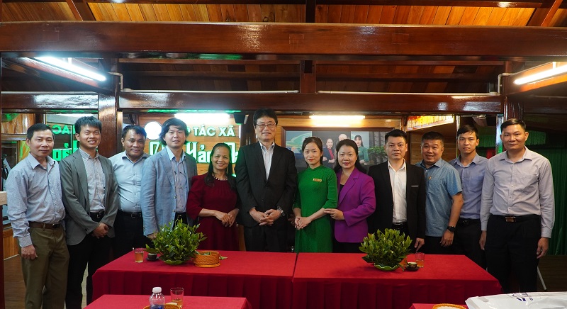 Giới thiệu công nghệ SOFIX trong cải tạo đất trồng chè -0