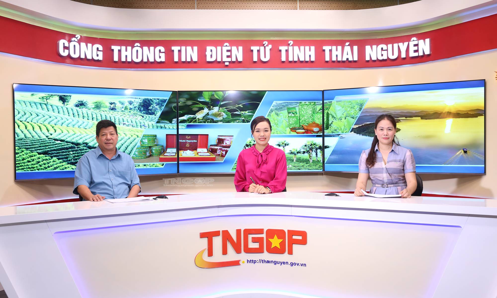 Tọa đàm trực tuyến: Tăng cường bảo hộ quyền sở hữu trí tuệ cho sản phẩm chè Thái Nguyên